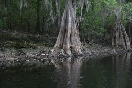 Effingham County, GA