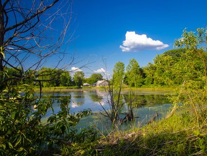 Kosciusko County, IN