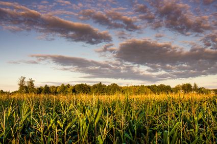 Midland County, MI