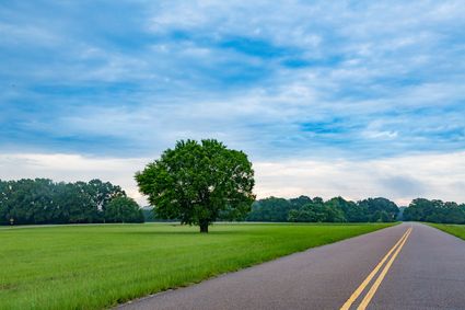 Tippah County, MS