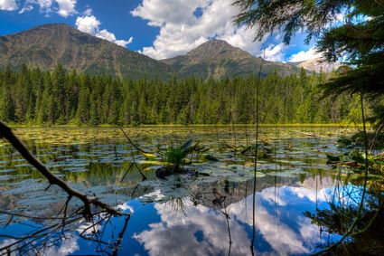 Glacier County, MT