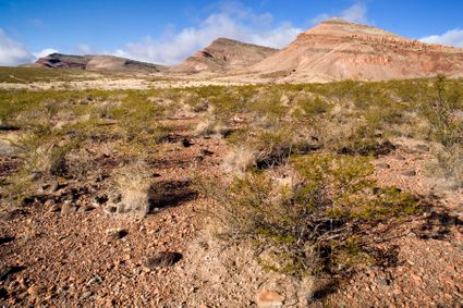 Doña Ana County, NM