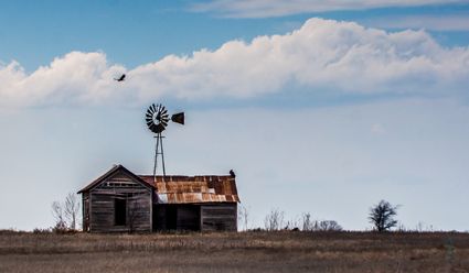 Ellis County, OK