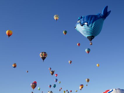 Albuquerque, NM