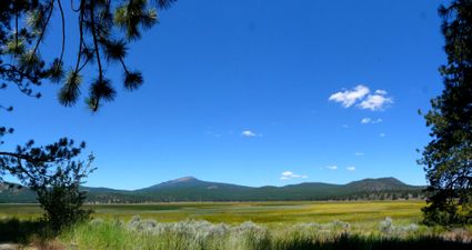 Del Norte, Lassen, Modoc, Plumas & Siskiyou Counties PUMA, CA