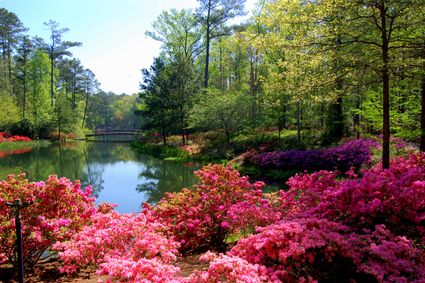 Northwest Georgia Regional Commission (Southeast)--Paulding County PUMA, GA