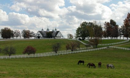 Bluegrass Area Development District (Central)--Lexington-Fayette County (Central) PUMA, KY