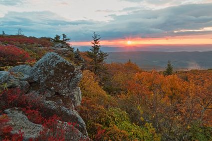 Wayne, Logan, Mingo, Boone, Wyoming, Lincoln, McDowell Counties PUMA, WV